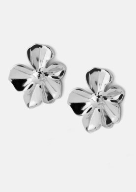Silver earrings